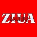 Ziua Cargo