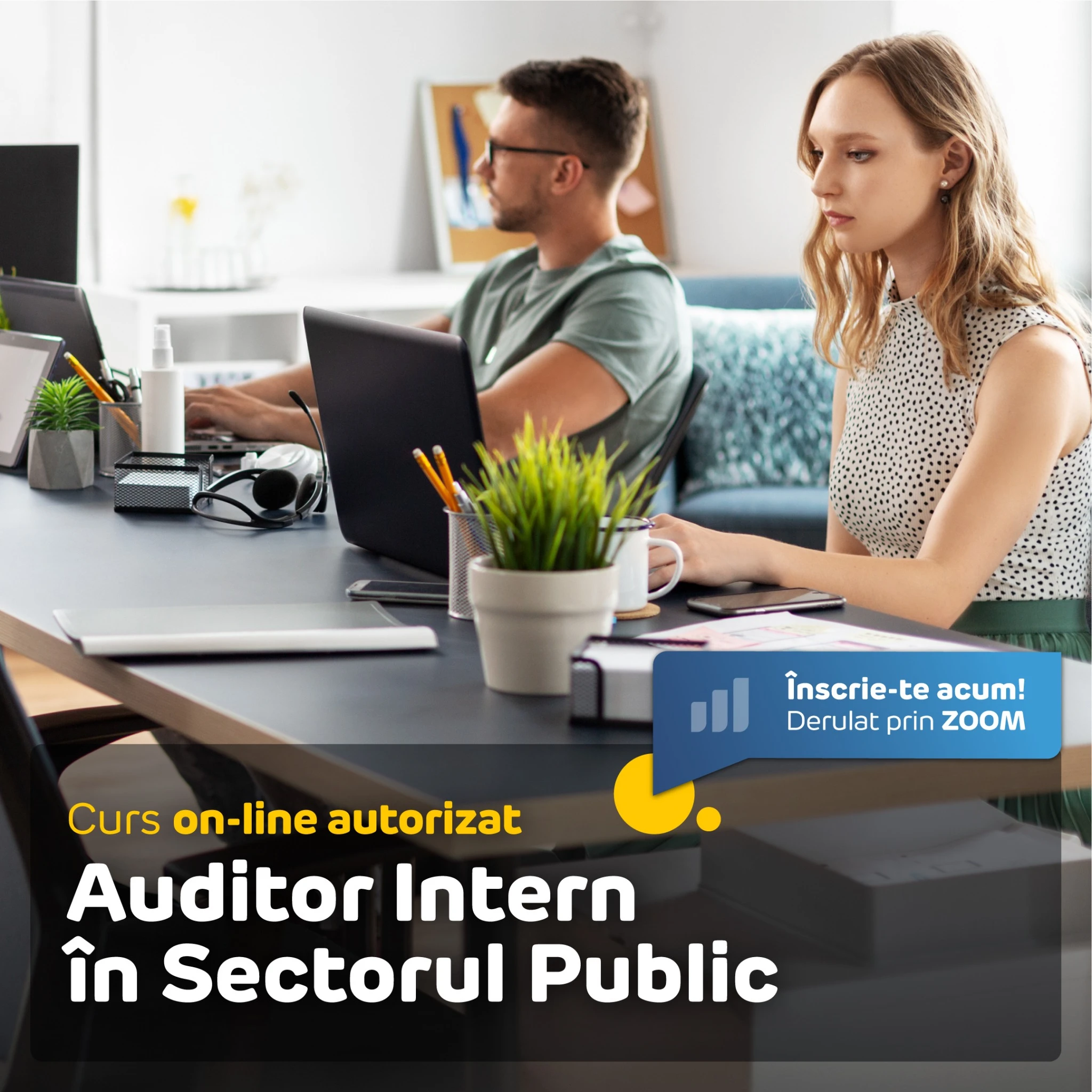 Curs Auditor Intern în Sectorul Public